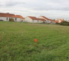 Photo du terrain Born&eacute; 5