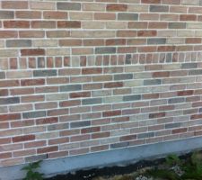 Invasion d?araignées...