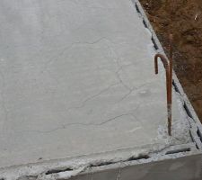 Fissures