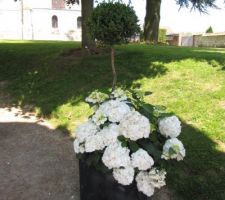 Compositions réalisées avec buis et hortensias blancs pour le mariage effet garanti
