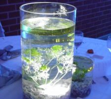 Effet garanti 3 vases circulaires au centre de chaque table avec des fleurs immergées avec LED submersibles au fond du vase avec télécommande et bougies écologiques au dessus. Chaque table portait le nom d'une fleur blanche