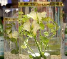 Effet garanti 3 vases circulaires au centre de chaque table avec des fleurs immergées avec LED submersibles au fond du vase avec télécommande et bougies écologiques au dessus. Chaque table portait le nom d'une fleur blanche 2 
C'est magique et quand les lumière sont fermées on peur illuminer chaque table qd on le désire