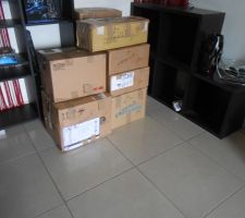 Début des cartons