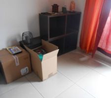 Début des cartons
