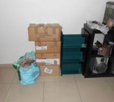 Début des cartons