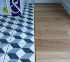 Joint carrelage/parquet. Bof le marron !