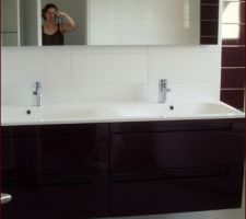 Meuble double vasque, mitigeur, et miroir avec fluo intégré.