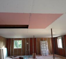 Plafond et installation des rails périphériques.