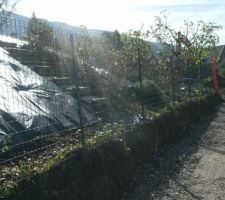 A gauche du chemin d'acc&eacute;s