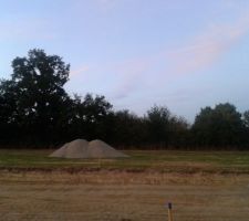 Vue sur la haie bocagère de notre terrain avec. La photo est prise depuis l'autre côté de la future voirie.