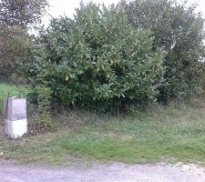 Notre future entr&eacute;e