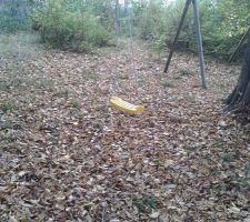 L'automne est là.