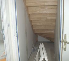 Mon placard sous l'escalier
