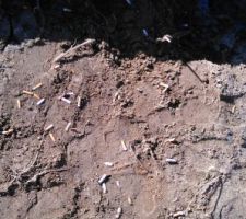 Le terrain n'est pas un cendrier merci pfff et c'est comme l'iceberg le plus gros &eacute;tait sous la surface !!