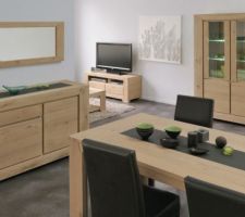 Je travaille dans un magasin de meubles. et voici pour le moment ce qui m'attire l ?il.... Table L190, bahut bas 4 Porte   miroir , peut etre meubles tv    table basse, mais pas sur. Qu'en pensez vous?