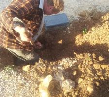 A la recherche de la gaine &eacute;lectrique