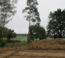 Dernière photo du sapin