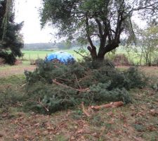 On va sûrement faire brûler tout ça.