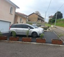 Mes jardinières avec des bambous pour séparer notre entrée avec celle du voisin