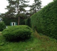 Arriv&eacute; sur le terrain