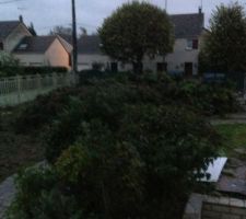 Voila le tas apr&egrave;s une journ&eacute;e de travail,25 m&egrave;tre de haie d&eacute;couper et un pin;