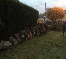 Voila le tas apr&egrave;s une journ&eacute;e de travail,25 m&egrave;tre de haie d&eacute;couper et un pin;