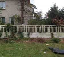 Reste des haies d&eacute;couper jusqu'au fond du terrain