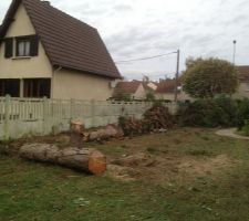 Reste des haies d&eacute;couper jusqu'au fond du terrain