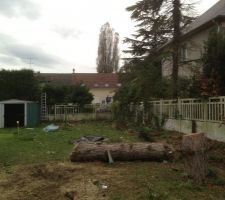 Reste des haies d&eacute;couper jusqu'au fond du terrain