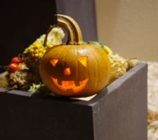 Halloween 2013