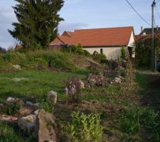 Plantation haie terminée