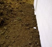 Coté gauche en vue de face de la maison. avec en visu la porte du cellier