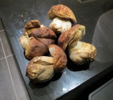 Rohhhh... 1.2 Kg de cèpes trouvés sur notre terrain :)