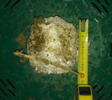 Gros morceau (10 x10 cm) de polystyrène oublier dans une canalisation de 100