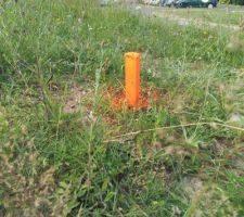 Piquettage de Juillet