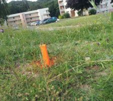 Piquettage de Juillet