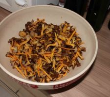 Récolte de la promenade en foret : des girolles ou chanterelles