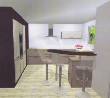 Plan 3D de la cuisine, vue du salon (l'angle de vue de la photo est plus large que la vision humaine, ce qui donne une impression plus "petite" que ce qu'on verra en réalité)