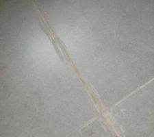 Contours du joint de dilatation, pour Marie