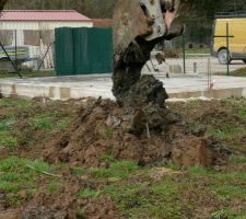 Sondange : 1er coup de pelle !