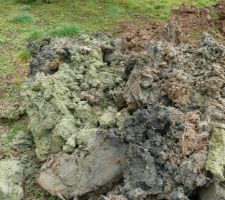 Sondage : belle couleur !