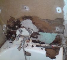 Salle de bain mise à nue.