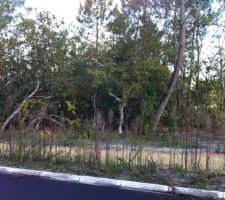 Le terrain au moment de la signature du sous-seing