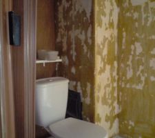 Toilettes du haut(Sur le pallier) avec la cheminée que nous avons abattu pour gagner de la place.