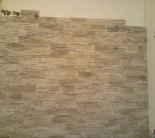 Notre mur en pierre en cours...