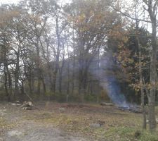 Terrain apr&egrave;s arrachage des arbre de "l'entr&eacute;e"