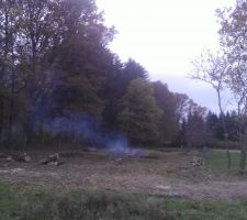 Terrain apr&egrave;s arrachage des arbre de \"l\'entr&eacute;e\"