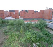 D&eacute;but de l'&eacute;l&eacute;vation des murs
vue de face de la maison
6 rangs sur 3 des 4 facades