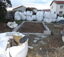 Debut du premier bac pour notre phytoepuration