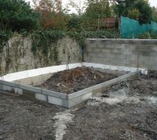 Futur local jardin